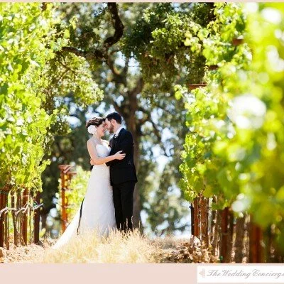 Lush California Vineyard Wedding