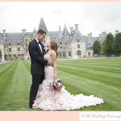 Disney Inspired Wedding at the Biltmore Estate