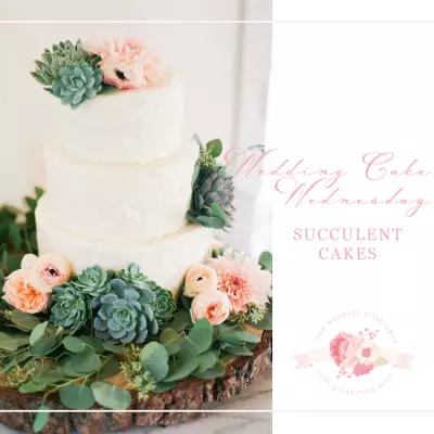 Wedding Cake Wednesday – Succulent Cakes