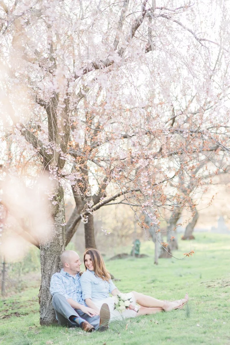 Charming Cherry Blossom Engagement
