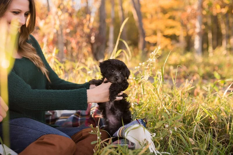 Freshly Newlywed Fall Shoot