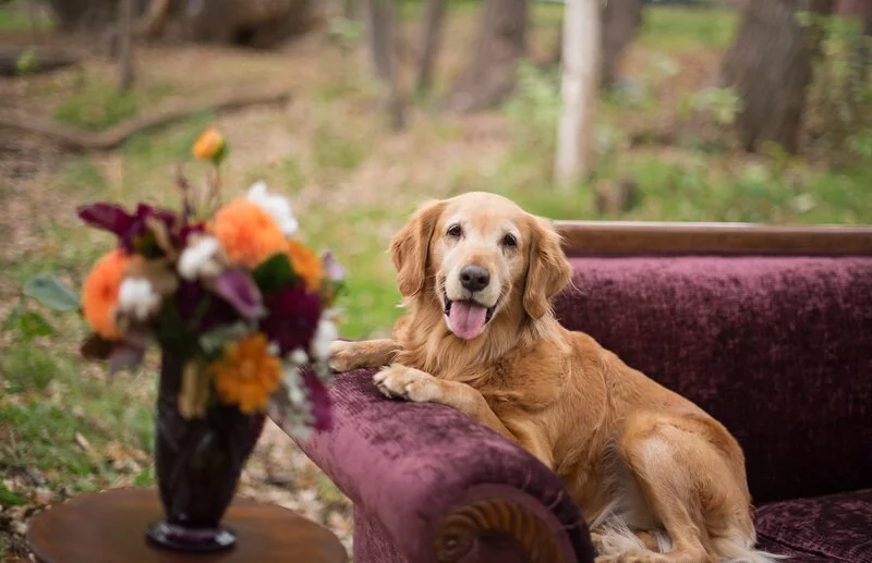 Autumn Idaho Styled Shoot 