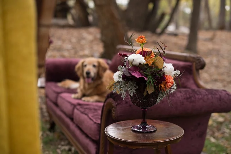 Autumn Idaho Styled Shoot 