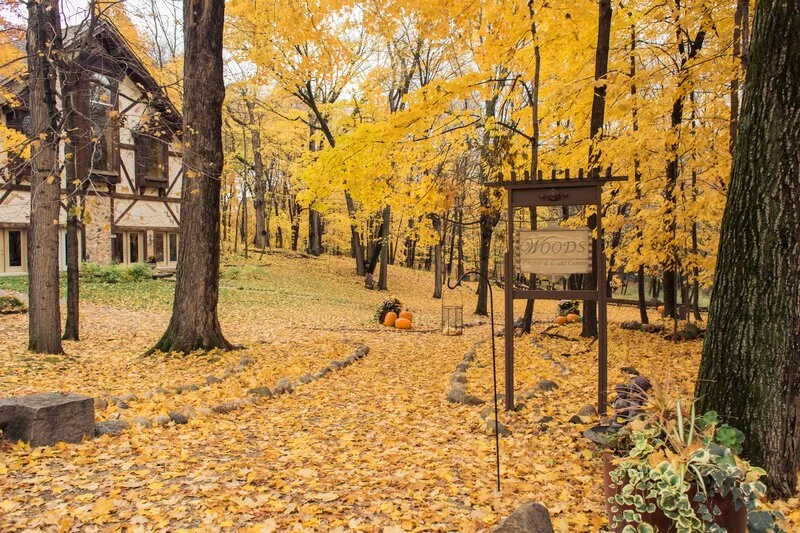 Forest Fall Wedding