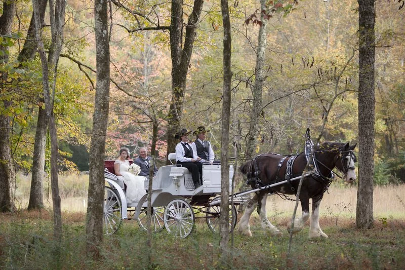 Vintage Alabama Wedding