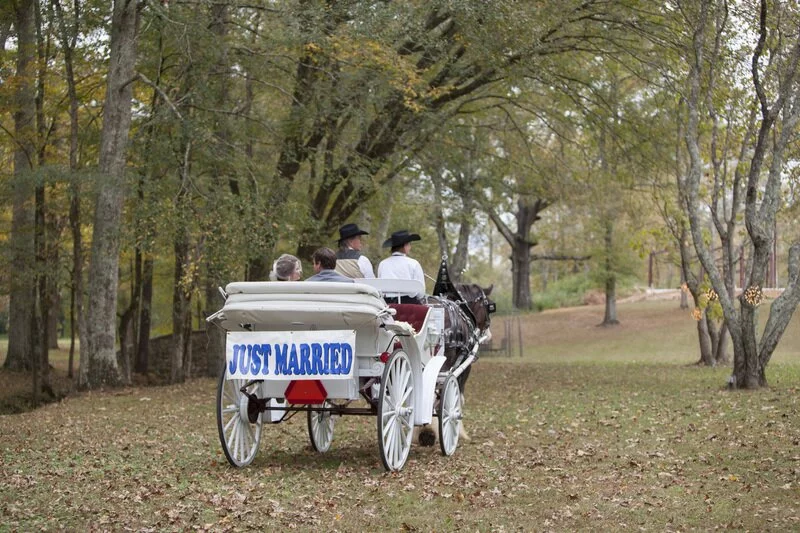 Vintage Alabama Wedding