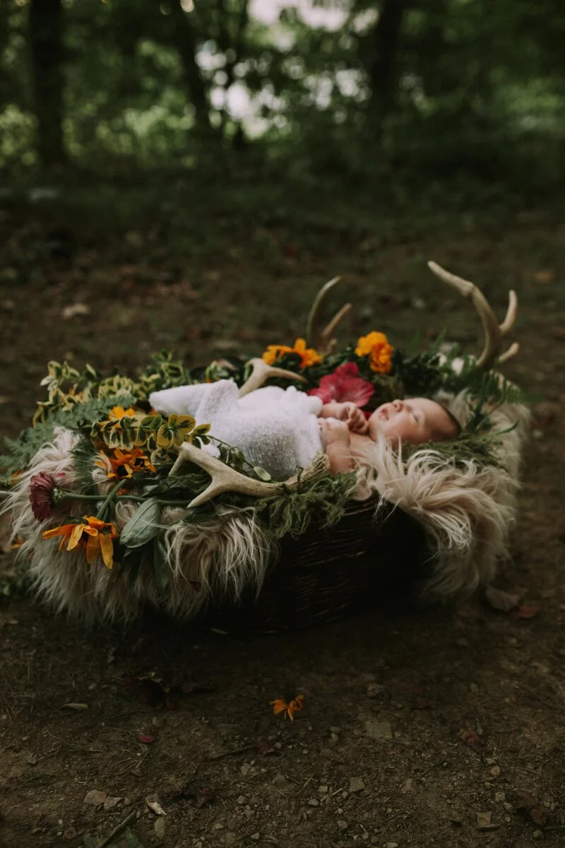 Woodland Boho Newborn