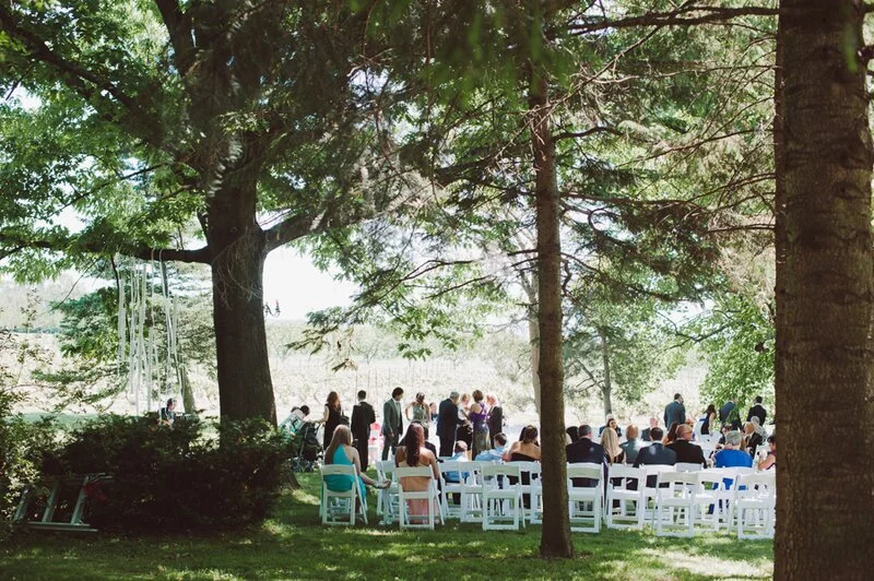 Ontario Orchard Wedding 
