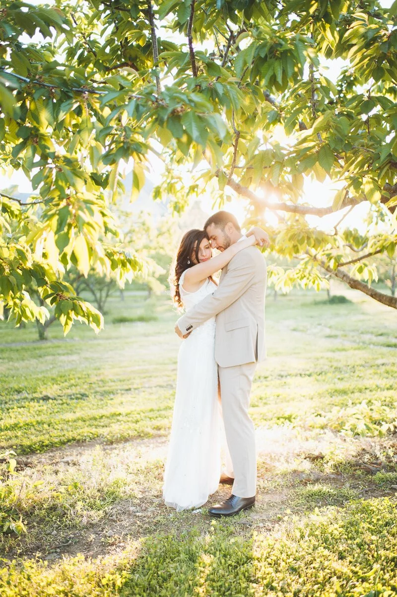 Ontario Orchard Wedding 