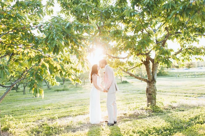 Ontario Orchard Wedding 